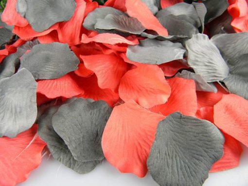 LIVING CORAL KOLOREM ROKU 2019